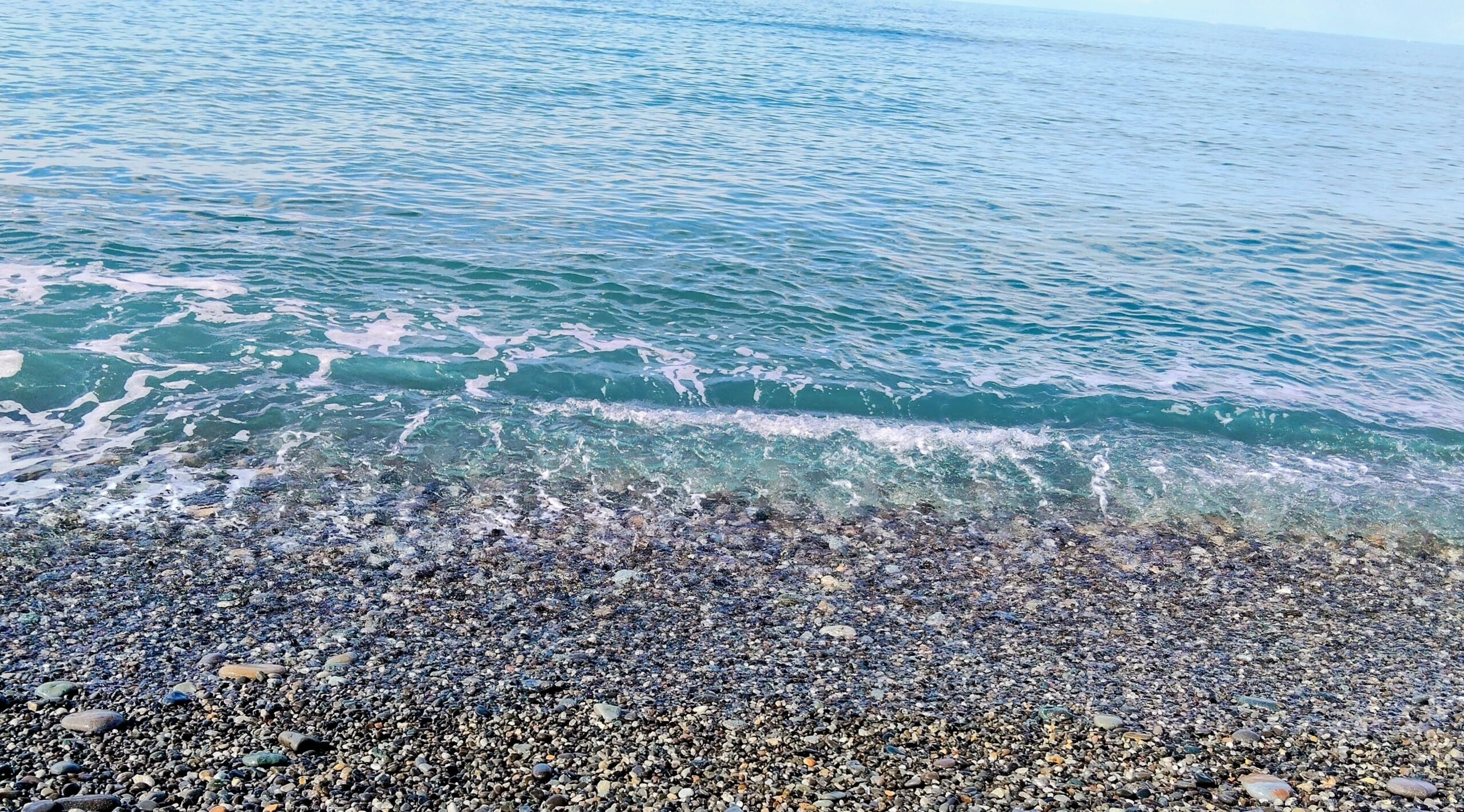 日本海（新潟）